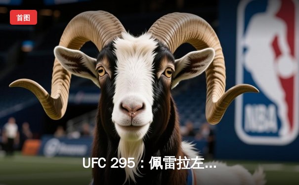 UFC 295：佩雷拉左钩拳震撼纽约 首回合TKO普罗哈兹卡夺轻重量级金腰带