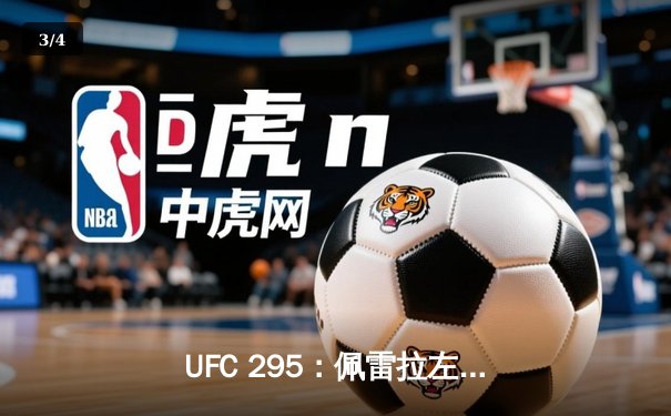 UFC 295：佩雷拉左勾拳震撼纽约，普罗哈兹卡金腰带梦碎麦迪逊花园 - 3