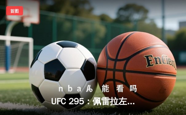 UFC 295：佩雷拉左勾拳终结普罗哈兹卡 重夺轻重量级金腰带